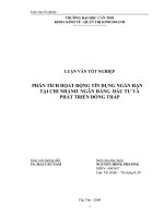 PHÂN TÍCH HỌAT ĐỘNG TÍN DỤNG NGẮN HẠN TẠI CHI NHÁNH NGÂN HÀNG  ĐẦU TƯ VÀ PHÁT TRIỂN ĐỒNG THÁP