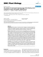 báo cáo khoa học: 