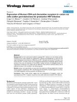 Báo cáo khoa học: