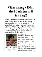 Viêm xoang - Bệnh thời ô nhiễm môi trường!! potx