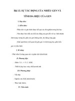Bài 13. SỰ TÁC ĐỘNG CỦA NHIỀU GEN VÀ TÍNH ĐA HIỆU CỦA GEN docx