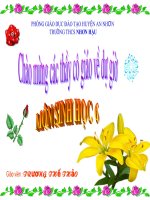 giáo án bồi dưỡng sinh học 6  các miền của rễ