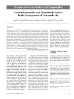 Điều trị viêm xương khớp doc