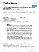 Báo cáo khoa học: 