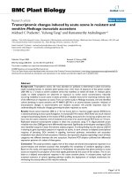 báo cáo khoa học: 