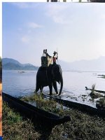 Giáo án điện tử môn Địa Lý: Khai thác thế mạnh ở tây nguyên pdf