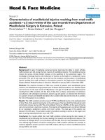 báo cáo khoa học: