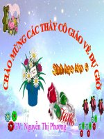 Bài giảng điện tử môn sinh học: Cấu tạo tế bào thực vật ppt