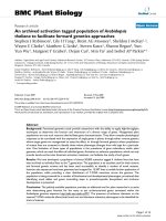 báo cáo khoa học: 