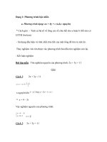 Dạng 1: Phương trình bậc nhất pps