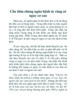 Cần tiêm chủng ngừa bệnh tả vùng có nguy cơ cao ppsx