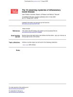 the 10 remaining ysteries of inflammatory bowel disease 2008