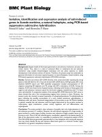 báo cáo khoa học: 