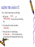 giáo án bồi dưỡng sinh học 6 thực hành quan sát biến dạng của rễ (2)