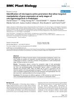 báo cáo khoa học: 