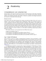 Algae: Anatomy, Biochemistry, and Biotechnology - Chapter 2a doc