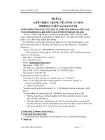 Kế toán tiêu thụ sản phẩm và xác định kết quả sản xuất kinh doanh của công ty APM SPRINGS việt nam