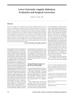 Gãy xương lành pdf