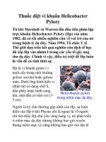Thuốc diệt vi khuẩn Helicobacter Pylory pps