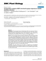 báo cáo khoa học: 