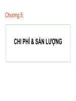 bài giảng kinh tế vi mô chương 5 pdf