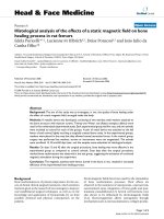 báo cáo khoa học: