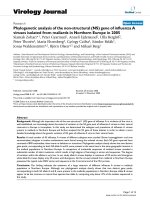 Báo cáo khoa học: 