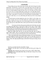 một số giải pháp nâng cao hiệu quả sử dụng vốn ở doanh nghiệp sản xuất kinh doanh xây dựng vận tải minh thanh