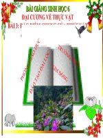 giáo án bồi dưỡng sinh học 6 đặc điểm chung của thực vật 2