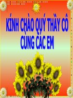 giáo án bồi dưỡng sinh học 6 sự lớn lên và phân chia của tế bào