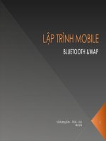 Bài giảng điện tử môn tin học: Bluetooth và Wap ppsx