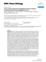 báo cáo khoa học: 