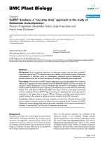 báo cáo khoa học: 