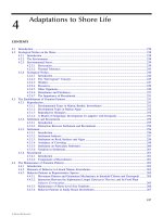 The Ecology of Seashores - Chapter 4 ppsx