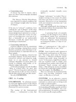 Penguin Dictionary of American English Usage and Style_3 pps