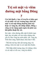 Trị sỏi mật và viêm đường mật bằng Đông y ppt