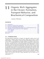 Flocculation In Natural And Engineered Environmental Systems - Chapter 11 doc