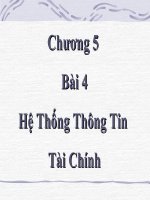 Bài giảng điện tử môn tin học: Hệ Thống Thông Tin Tài Chính potx