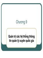 Bài giảng điện tử môn tin học: Quản trị các hệ thống thông tin quản lý xuyên quốc gia ppt