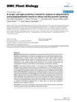 báo cáo khoa học: 