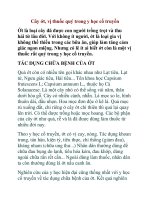 Cây ớt, vị thuốc quý trong y học cổ truyền ppt