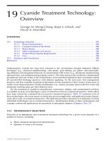 CYANIDE in WATER and SOIL: Chemistry, Risk, and Management - Chapter 19 potx