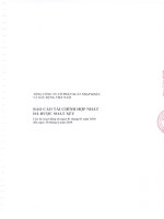 tổng công ty cổ phần xuất nhập khẩu xây dựng việt nam vinaconex báo cáo tài chính hợp nhất đã được soát xét cho kỳ hoạt động  từ ngày 1 tháng 1 năm 2010 đến ngày 30 tháng 6 năm 2010