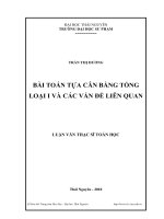 bài toán tựa cân bằng tổng loại i và các vấn đề liên quan