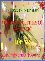 Giáo án bồi dưỡng dự thi mẹ tôi   văn bản nhật dụng