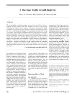 Hướng dẫn thực hành để phân tích Dáng đi doc