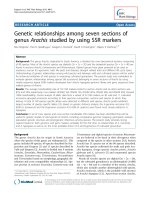 báo cáo khoa học: 