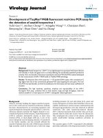 Báo cáo khoa học: 