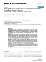 báo cáo khoa học: 