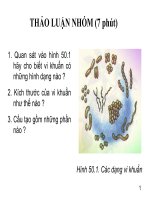 Bài giảng điện tử môn sinh học: Vi khuẩn_1 doc